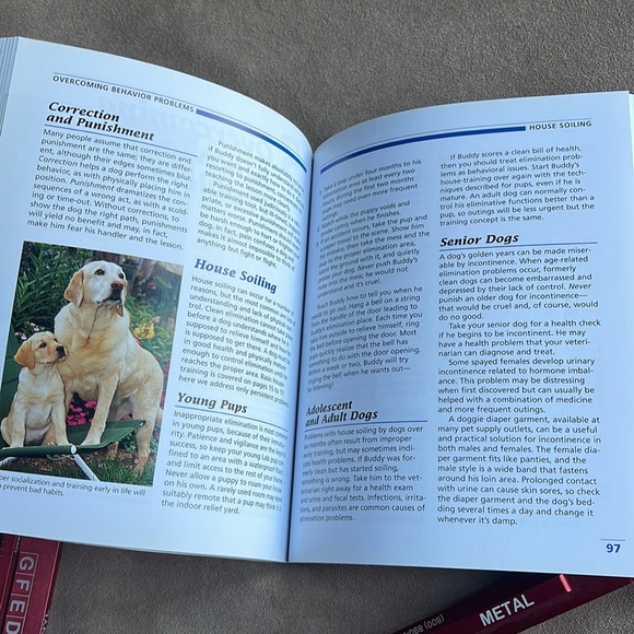 Training your Labrador Retriever softcover Book practical guide instructive - Picture 7 of 7